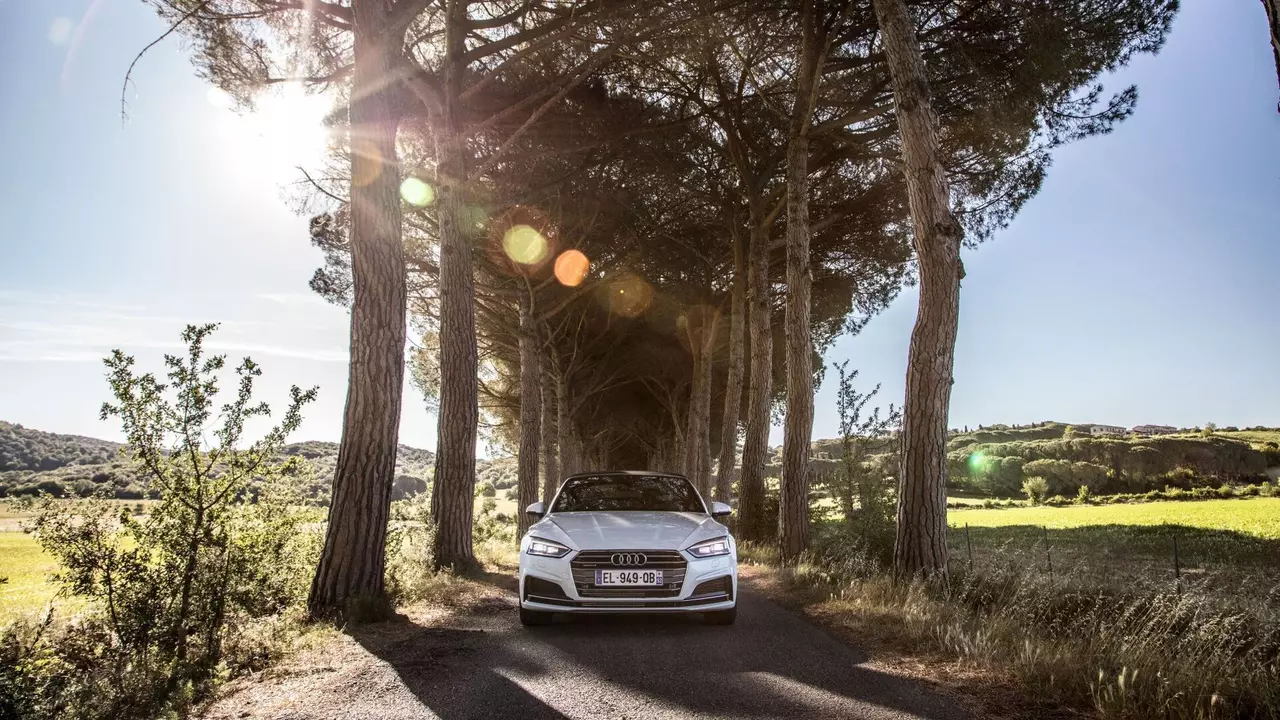 5 самых надёжных моделей Audi: рейтинг надёжности и лучшие годы выпуска